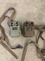 IMG_0900.jpeg
