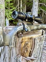 307 alpine 04.jpg