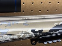IMG_5754.jpeg