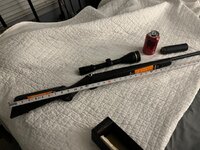 IMG_0593.jpeg
