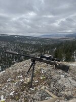 IMG_6873.jpeg