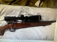 IMG_0507.jpeg