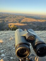 IMG_6677.jpeg