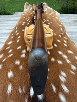 IMG_2941.jpeg