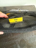 IMG_2962.jpeg
