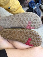 IMG_0901.jpeg