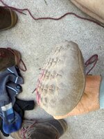 IMG_0900.jpeg