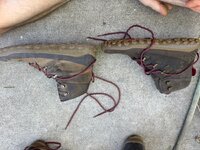 IMG_0902.jpeg