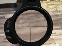 IMG_1990.jpeg