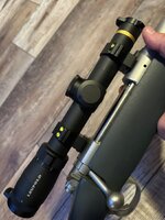 IMG_1986.jpeg