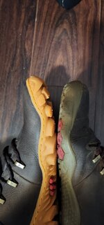 20260502_184805.jpg