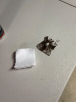 IMG_5681.jpeg