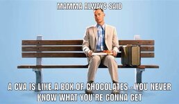 IMG_7242.jpeg