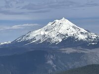 IMG_8544.jpeg