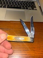 IMG_7019.jpeg