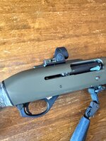 IMG_2501.jpeg
