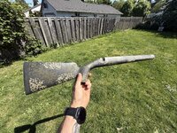 IMG_1403.jpeg