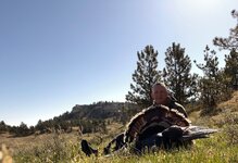 IMG_8872.jpeg