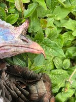 IMG_8880.jpeg