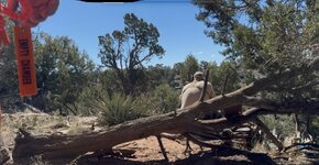 IMG_9996.jpeg