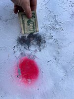 IMG_1245.jpeg