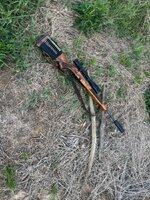 IMG_1276.jpeg