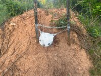 IMG_1277.jpeg