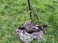 IMG_3330.jpeg