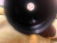 IMG_3200.jpeg