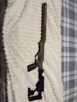 IMG_9286.jpeg