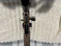 IMG_9283.jpeg
