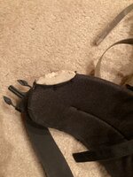 IMG_3897.jpeg