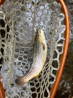 IMG_6369.jpeg