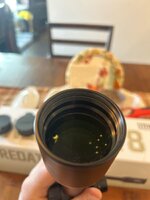 IMG_2741.jpeg