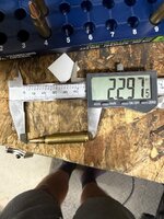 IMG_6074.jpeg