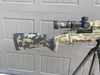 IMG_6197.jpeg