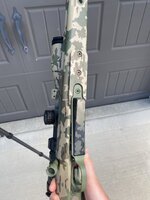 IMG_6205.jpeg