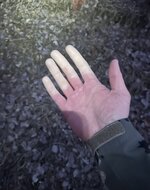 IMG_9518.jpeg