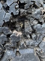 IMG_3689.jpeg