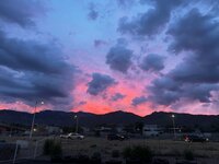 IMG_3797.jpeg