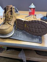 IMG_2603.jpeg