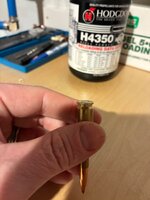 IMG_0376.jpeg