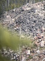 IMG_8553.jpeg