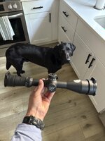 IMG_4293.jpeg