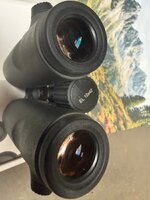 IMG_1136.jpeg