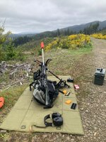 IMG_3686.jpeg