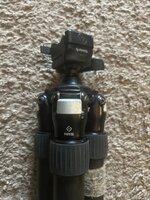 IMG_9365.jpeg