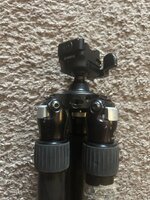 IMG_9366.jpeg