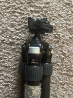 IMG_9367.jpeg