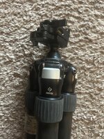 IMG_9369.jpeg